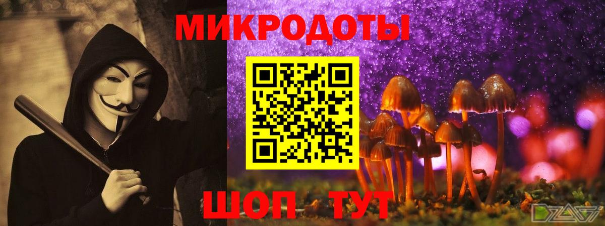 Псилоцибиновые грибы GOLDEN TEACHER  Вход с VPN  Кимовск 