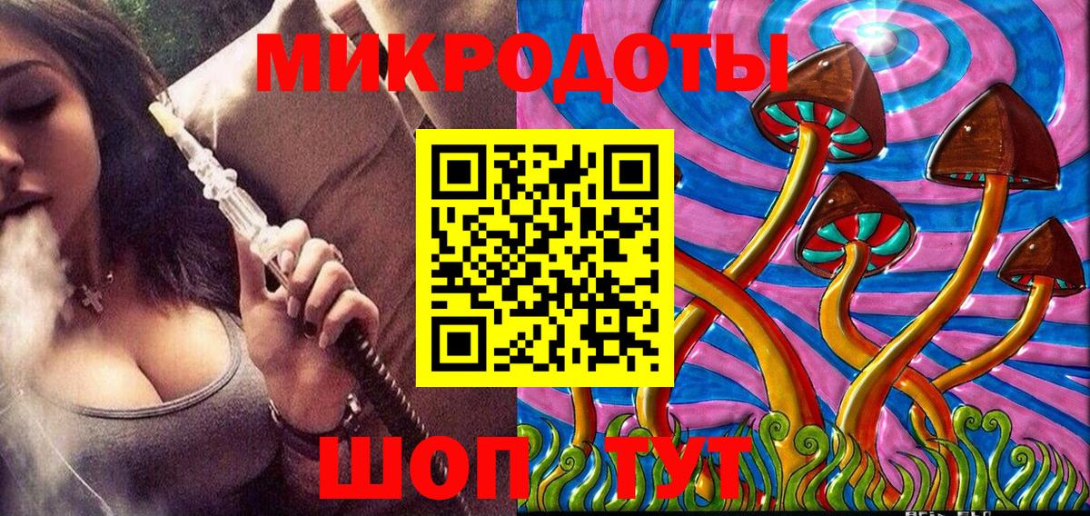 Псилоцибиновые грибы Cubensis Кимовск